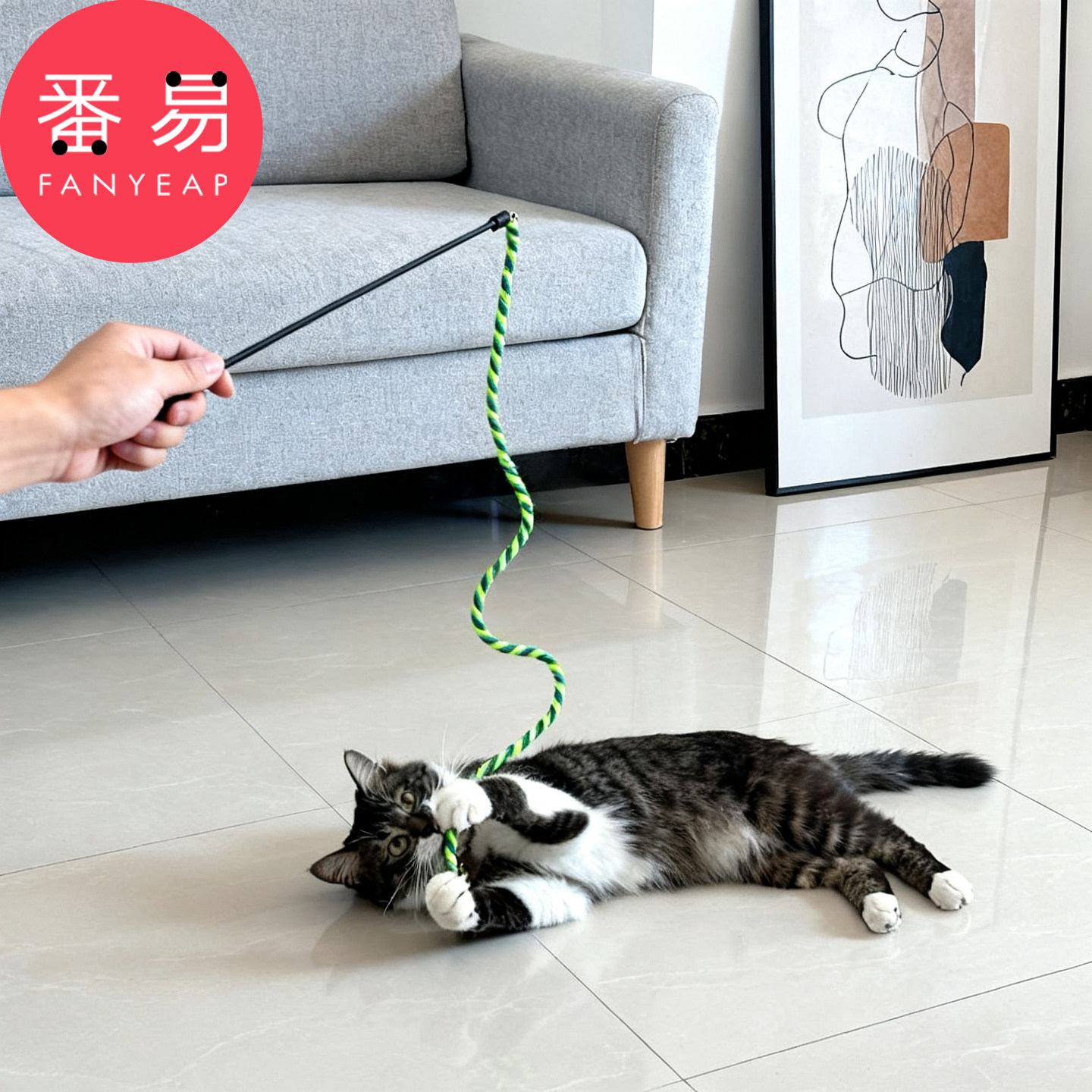 逗猫棒/绳子A1pn008-猫咪玩耍逗猫棒逗猫绳长杆逗猫棒宠物用品图片