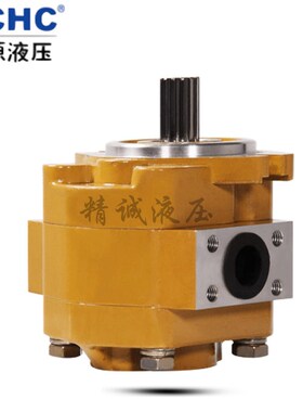 合肥长源液压齿轮油泵CBK-G429/4u30/432/423/444/427/436/-AFL/A