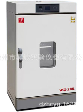 泰斯特WGLL-230BE 电热恒温鼓风干燥箱WGL-230L高温老化箱