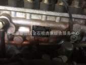 0000 BH6P 锡柴油泵 喷油泵总成 AM81 配套油泵 BP22G0