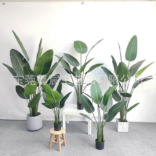 仿真绿植旅人蕉盆景 北欧大型室内装饰 客厅 橱窗落地价绿植造景