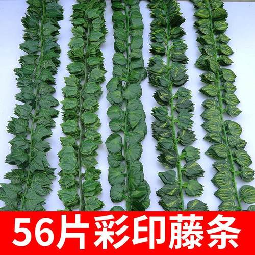 56片彩印藤仿真藤条假花藤葡萄叶假树叶绿叶植物吊顶装饰管道藤蔓