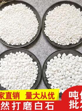 小白石子大鹅卵石多肉铺面白色石头花盆庭院装饰白玉石雪花白