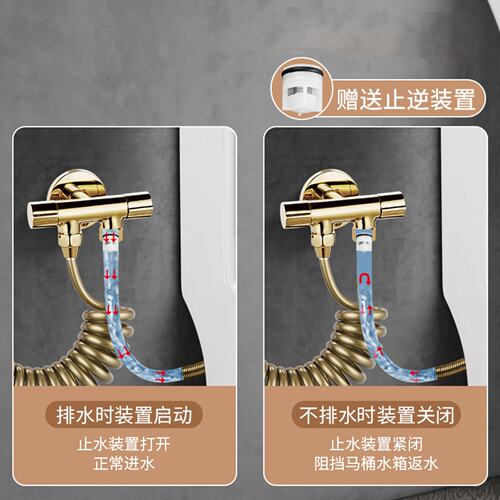 金色增压厕所清洁冲洗器喷水枪马桶伴侣喷枪一进二出角阀喷头龙头