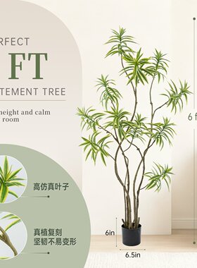 仿真绿植高级感金边百合竹落地植物盆栽室内客厅装饰摆件假树盆景