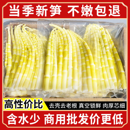 四川方竹笋新鲜嫩笋尖罗汉笋春笋火锅笋高山野生小竹笋子笋干商用
