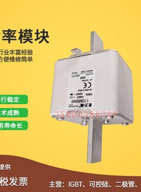 170M8630/8631/8632/8633/8634/8635/8636/8637快速保险丝熔断器