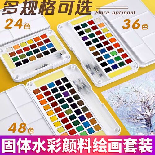 固体水彩颜料套装24色36色48色水彩颜料专业美术便携塑料盒装初学
