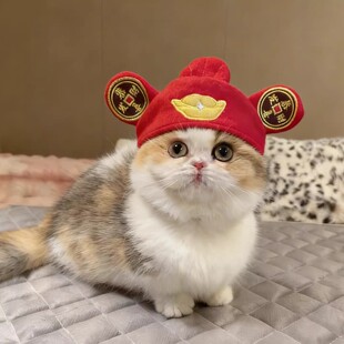 宠物小猫财神帽子毛绒头套猫咪喜庆搞怪新年装扮饰财神爷变装帽