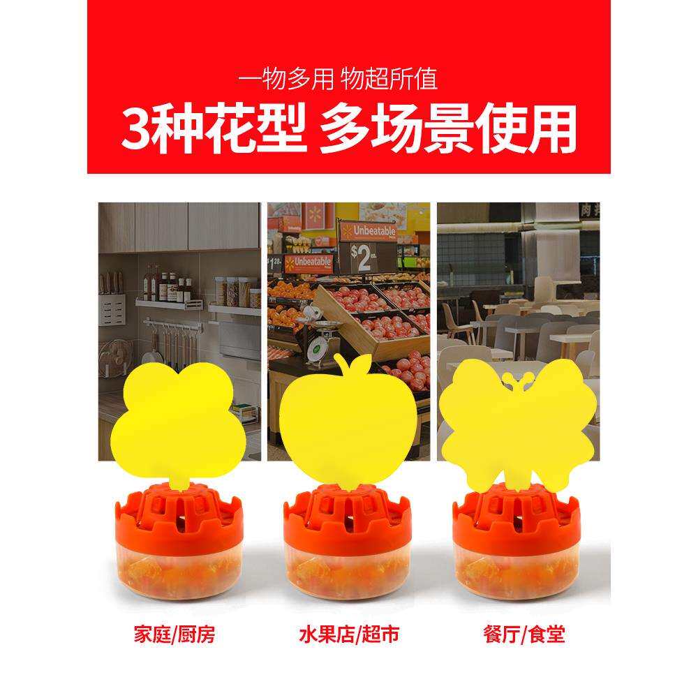 果蝇陷阱粘苍蝇纸苍蝇捕捉器神器贴饵剂果蝇诱捕器杀小飞虫小黑虫