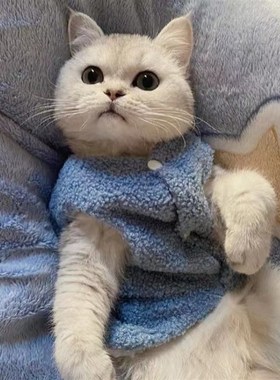 快速发货保暖马甲背心泰迪比熊小型犬宠物猫咪Q衣服防掉毛秋冬狗