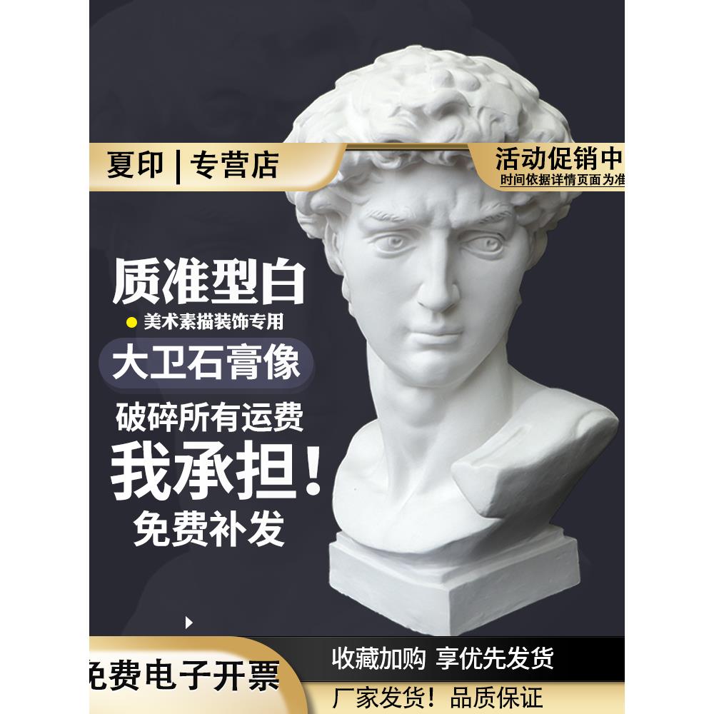 大卫石膏像素描几何体雕塑静物美术教具摄影道具摆件套装阿格里巴