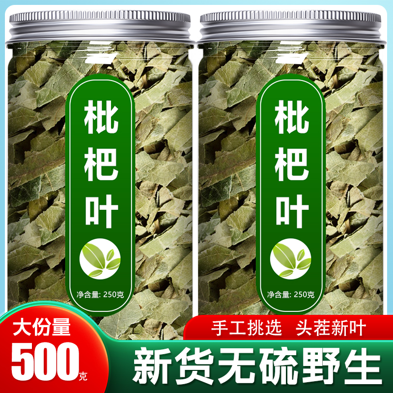 枇杷叶中药材新鲜野生琵琶