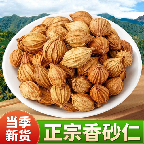 四川香砂仁料正宗金沙品食