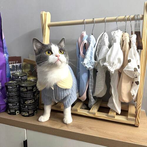 宠物衣架狗狗衣服猫咪衣服收纳全实木落地宠物衣服四季衣架