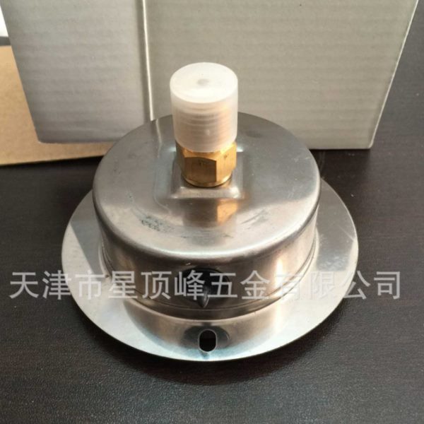 轴向带边耐震压力表YN60ZT液压油压气压水压注塑机压力表0-1.6MPA
