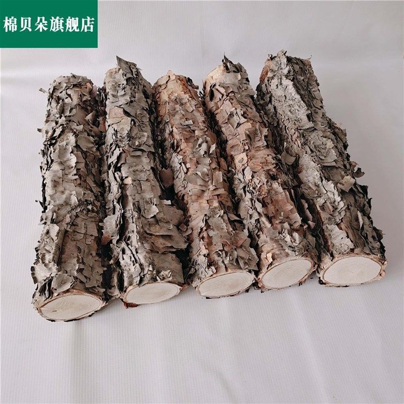 木铁桦铁桦树桦j木原木铁桦原木装饰树隔断橱窗隔断湿木料