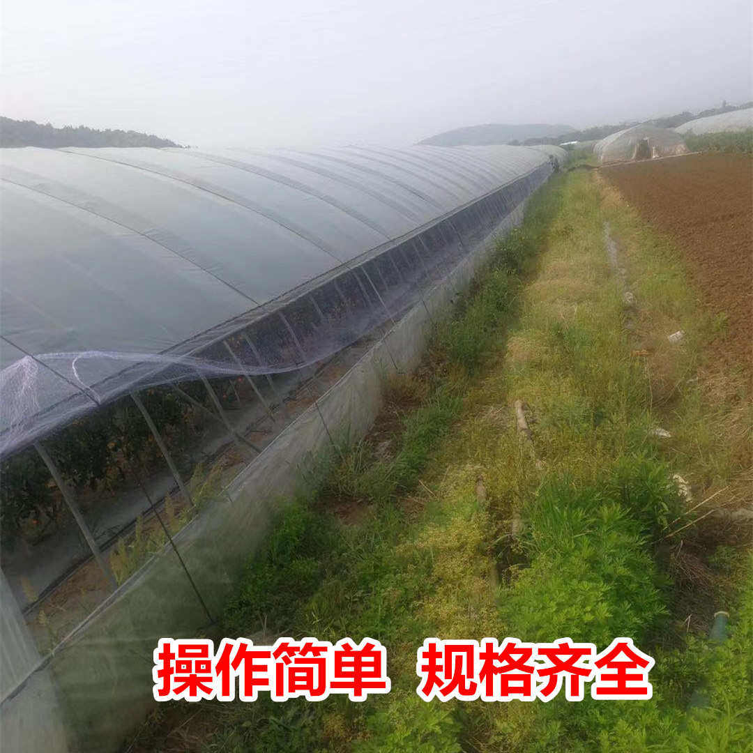 大棚防鸟网草莓大棚通风口防鸟网冬季暖棚防鸟网新型穿边尼龙纱网,农机/农具/农膜,农用防鸟网,淘宝优惠券,粉丝福利购,淘宝优惠卷