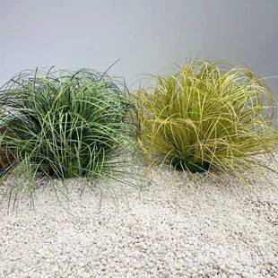 仿真物蒲草球造景摆件店铺装园饰假草堆观植PCQ芦苇草灌木景草绿