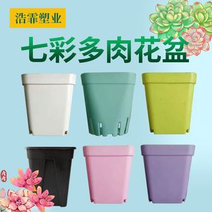 加深9cm小黑方景天盆多肉种植方盆塑料花盆方盒圆底拇指育苗盆