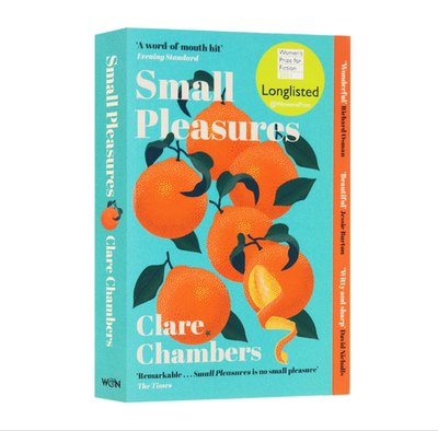 进口英文原版  Small Pleasures 小欢愉 Clare Chambers 2021入围百利女性小说长名单  现货