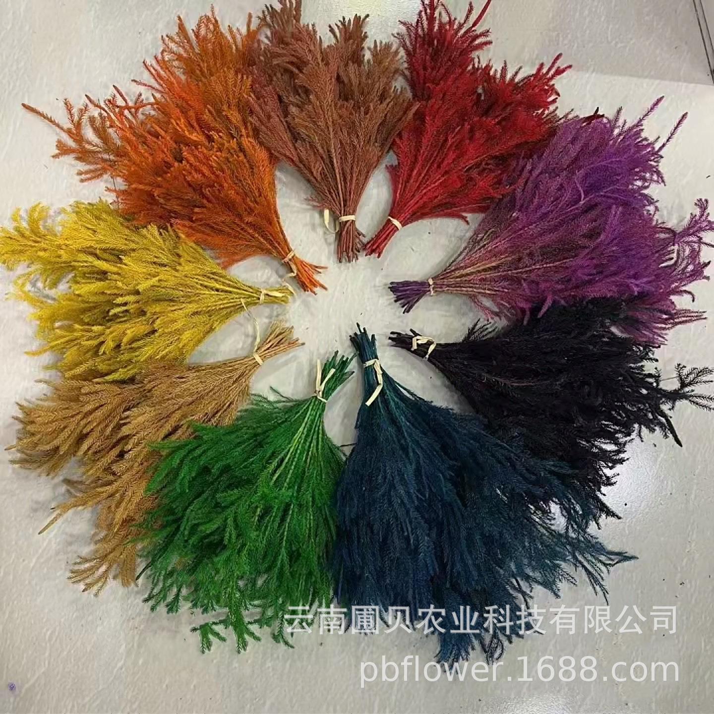 花者云南永生花礼盒辅材干花现货翠绿色石松松枝热销永生花