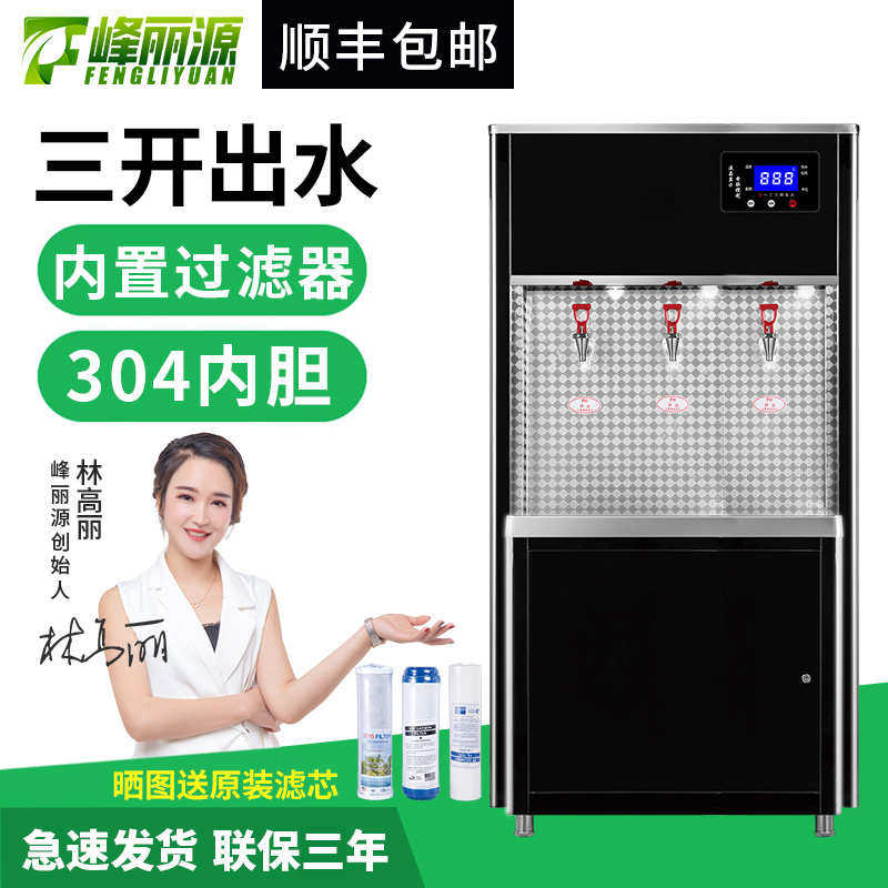 峰丽源柜式开水炉商用步进式发泡开水器带过滤开水箱饮水机烧水器,厨房电器,开水机/开水箱/蒸汽奶泡机,淘宝优惠券,粉丝福利购,淘宝优惠卷