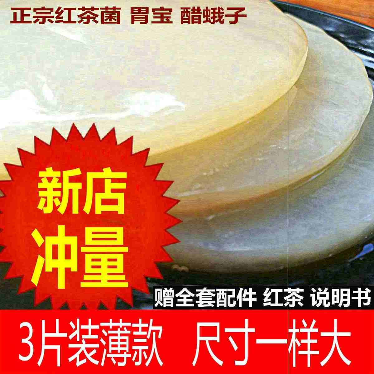 海宝菌正宗红茶菌/红茶菌种/海宝/胃宝/醋蛾子/送红茶/赠配件说