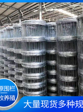 新品热浸镀锌钢丝网铁丝网养殖护栏网H牛栏网草原网果园圈地农场
