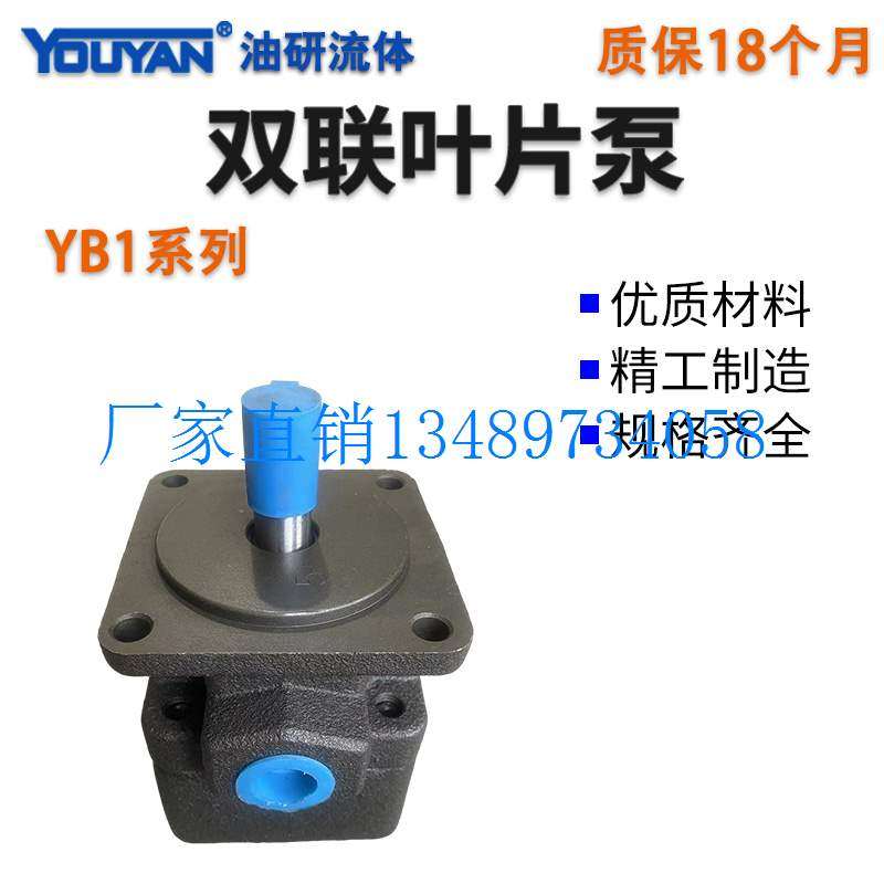 极速配件YB1-25液压4泵6.3叶r片泵10 12 16 20 2.5 32 40 50 63 Y,包装,塑料服装袋,淘宝优惠券,粉丝福利购,淘宝优惠卷