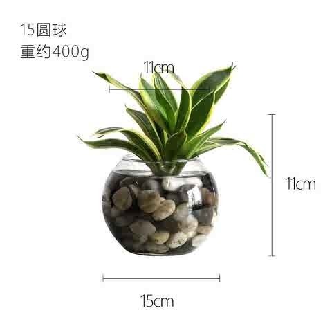 极速卫生间小花瓶摆件装饰绿萝圆A口大肚玻璃花发价矮胖花器花盆
