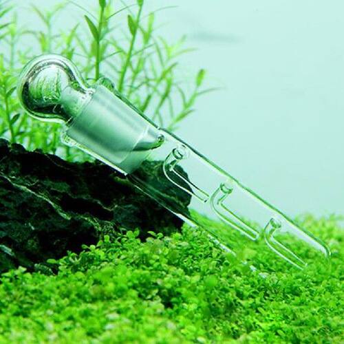 新品Newb Snail Leech Vivarium Pest Catch Trap Shrimp Worm