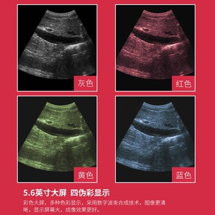 极速兽用B超机检测仪b超母猪孕检便携检测机背膘T仪比超牛羊用测