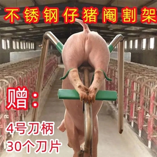 极速小猪阉割架神器仔猪敲猪器剦小F母猪阉割刀工具阉腌猪固定去