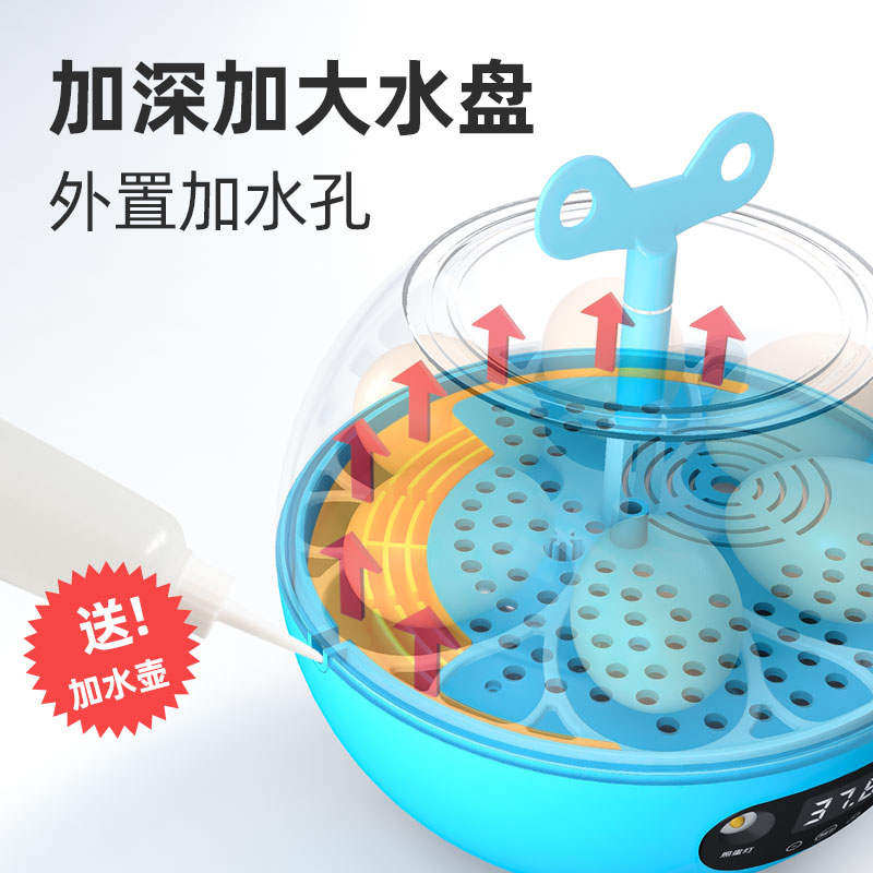极速孵化器家用小型芦丁鸡鸟类孵蛋器全自动智Q能恒温小鸡鸟类孵,鲜花速递/花卉仿真/绿植园艺,割草机/草坪机,淘宝优惠券,粉丝福利购,淘宝优惠卷