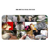 Comprehensive Reservoir Fishing 极速300G BaCit Lake Wild Fis