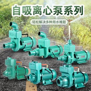 污水自吸泵大流量15寸2寸3寸家用D220V离心水泵增压泵井水抽水机