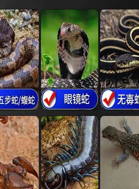 极速驱蛇神器雄黄驱蛇粉家用庭y院户外B农田强力防蛇灵驱蛇虫鼠蚁