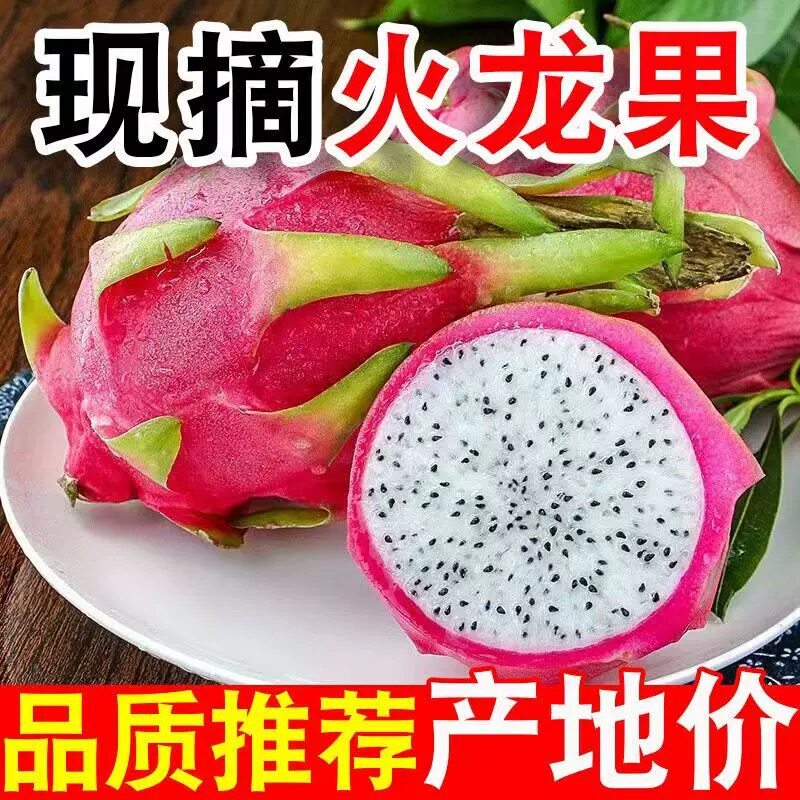 【现摘】正宗越南白心火龙果大果新鲜热带稀有水果应季超甜白肉批