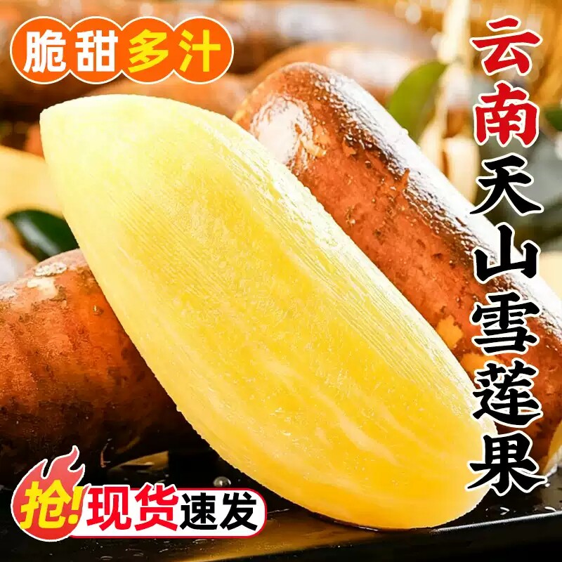 云南天山雪莲果新鲜水果当季现挖脆甜红心雪连果时令大果整箱包邮