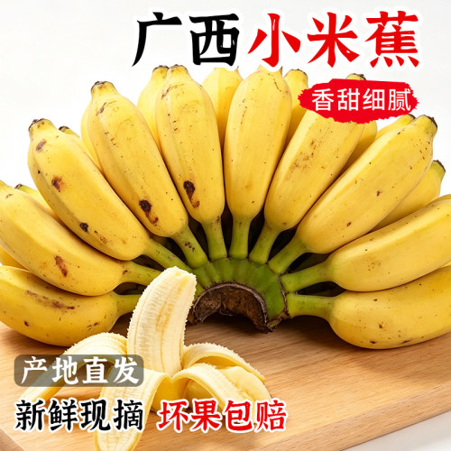 现摘广西小米蕉整箱自然熟