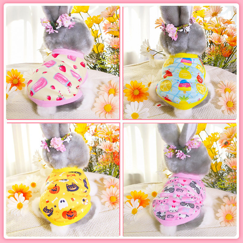 极速网红可爱兔子衣服宠物小型迷你侏儒垂耳兔R兔龙猫荷兰猪用品,宠物/宠物食品及用品,兔兔服饰,淘宝优惠券,粉丝福利购,淘宝优惠卷