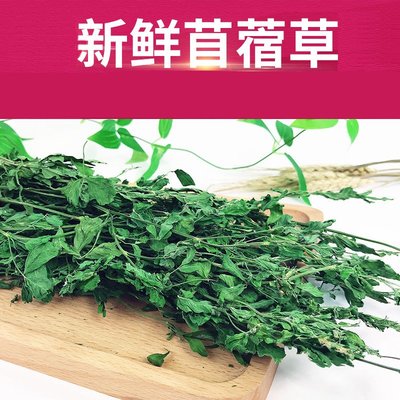 极速Rabbit alfalfa hay rabbit grass chinchilla food Xbox of