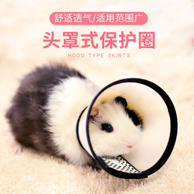 极速伊丽莎白圈宠物兔子荷兰猪龙B猫项圈围脖头罩颈套防抓防咬防,宠物/宠物食品及用品,兔兔其他,淘宝优惠券,粉丝福利购,淘宝优惠卷