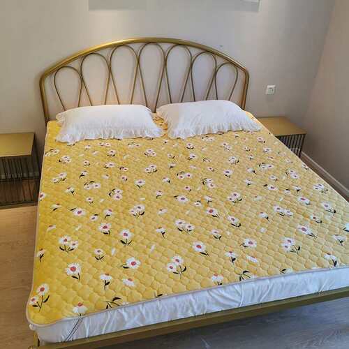 新品Winter flannel mattess sofzt cushion thin cushion blanke