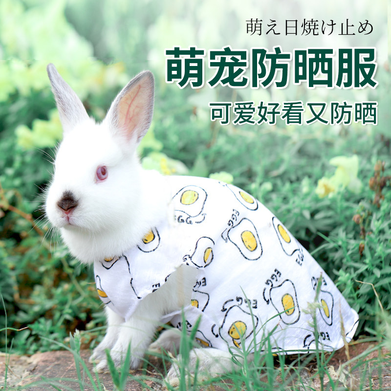 极速兔子衣服夏天专用小t宠物幼兔荷兰猪垂耳兔兔兔用品装饰穿的,宠物/宠物食品及用品,兔兔服饰,淘宝优惠券,粉丝福利购,淘宝优惠卷