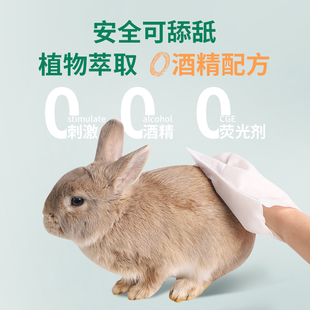 极速兔子免洗手套清洁湿巾除臭擦脚荷兰猪K宠物干洗粉沙专用洗澡