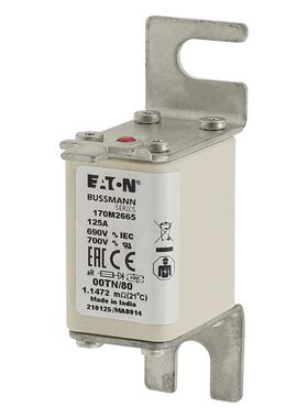 170M2665伊顿巴斯曼熔断器690VAC125A200KA分断力全范围GR熔断器