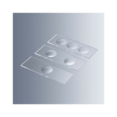 Marienfeld 1320000 显微镜载玻片，带空腔，1孔 10片/盒