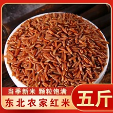减肥主食粗粮适合减脂期的食物糖人专用代餐饱腹无蔗糖低负担红米农家自产五谷杂粮真空包装酿酒料熬粥粗粮红糙米营养代餐主食